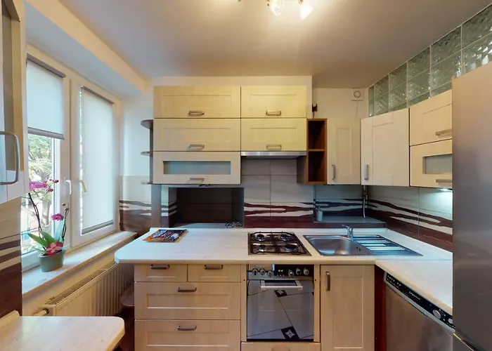 Daire Paulinska 10 Tectum *